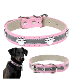 Pet Collar